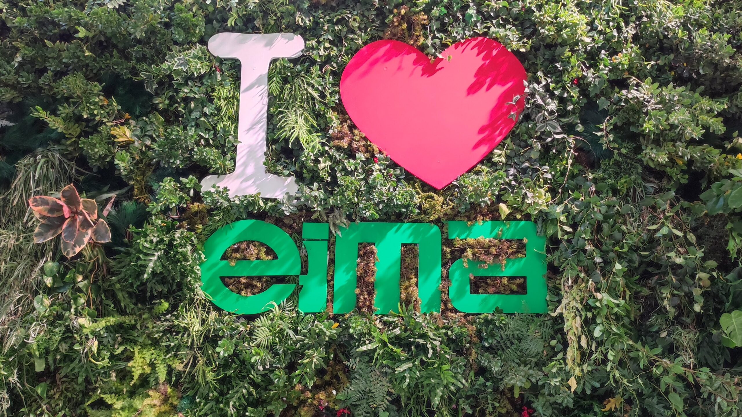 eima bolinia italia|eima|eima-2024-it